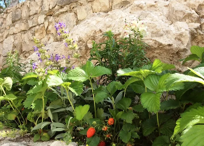 Mahon - The Of Split, Dalmatia, Croatia 펜션