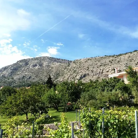 Mahon - The Of Split, Dalmatia, Croatia *